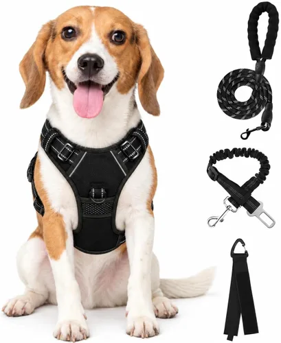 Vista 75 de FURRYFECTION - Arnés para perro a cuadros con correa y cinturón de Rosa