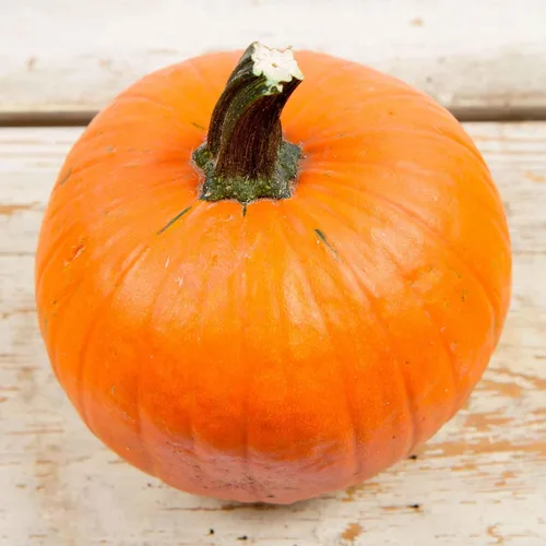 Vista 2 de Eden Brothers Semillas de calabaza (orgánicas) - Azúcar pequeño