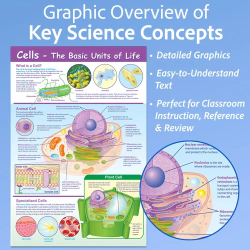 Vista 2 de NewPath Learning-34-6101 Póster de Células - Laminado, A Todo Color, 23" x 35