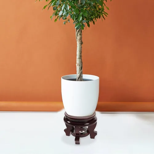 Vista 7 de BESTOYARD Base de maceta de madera asiática Soporte de jarrón de madera Soporte para plantas de madera Maceta de madera Plantas suculentas