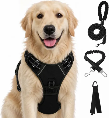 Vista 71 de FURRYFECTION - Arnés para perro a cuadros con correa y cinturón de Rosa