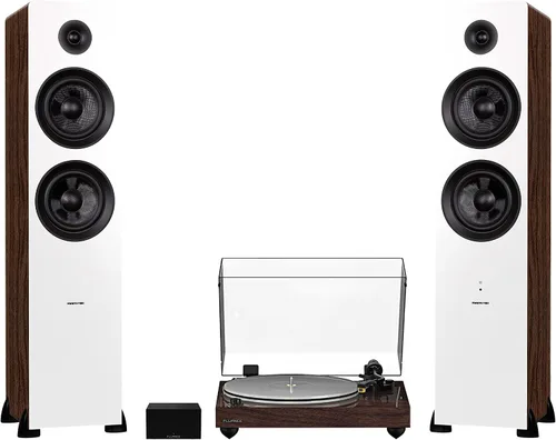 Vista 10 de Fluance RT85N Reference High Fidelity Vinyl Turntable, PA10 Phono Preamp and Ai81 Powered Floorstanding Speakers, Nagaoka MP-110 Cartridge, 150W