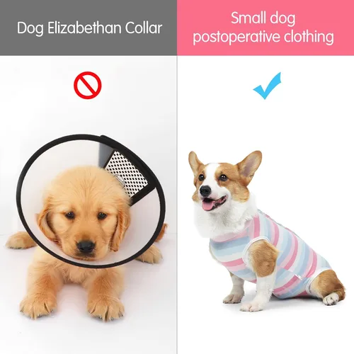 Vista 6 de Coppthinktu Traje de recuperación de cirugía para perros, gatos, perros, mameluco, traje de recuperación para perros hembras para pequeñas y Rosa
