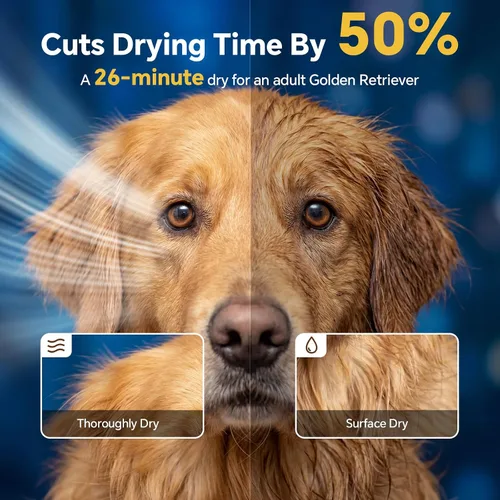 Vista 4 de Secador de pelo para perros de alta velocidad 5.2HP/3800W, temperatura ajustable continua, secadora de pelo para perros, secador de pelo