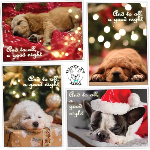 Vista 13 de Glory To Dog And To All A Good Night Sleepy Beagle Puppy - Juego de 12 tarjetas y sobres de Navidad