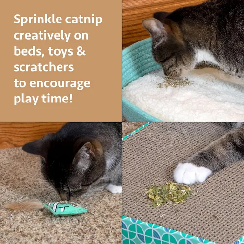 Vista 2 de Kitty City Colección Cat Premium Natural Catnip Collection Catnip With Silvervine