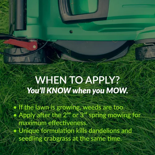 Vista 12 de GreenView Fairway Formula - Fertilizante de primavera para prevenir malezas y piensos y pasto de cangrejo
