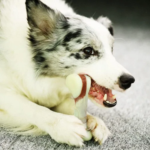 Vista 2 de Tikaton - Juguetes masticables para perros para masticadores agresivos, sabor a venado, juguetes duraderos para masticar para dentición de cachorros