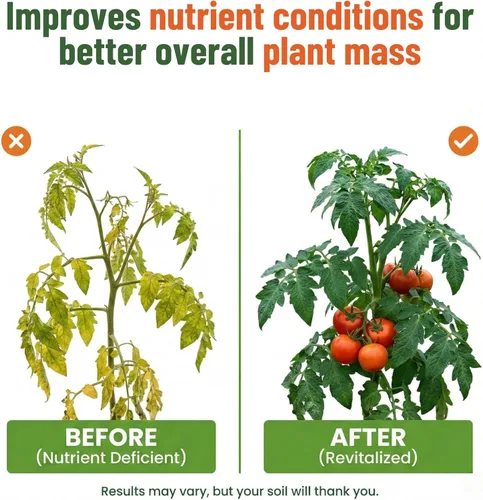 Vista 4 de GS Plant Foods Fertilizante Líquido de Kelp – Adecuado para Cultivo Orgánico, Concentrado de Algas Marinas Listado por OMRI para Césped, Jardines