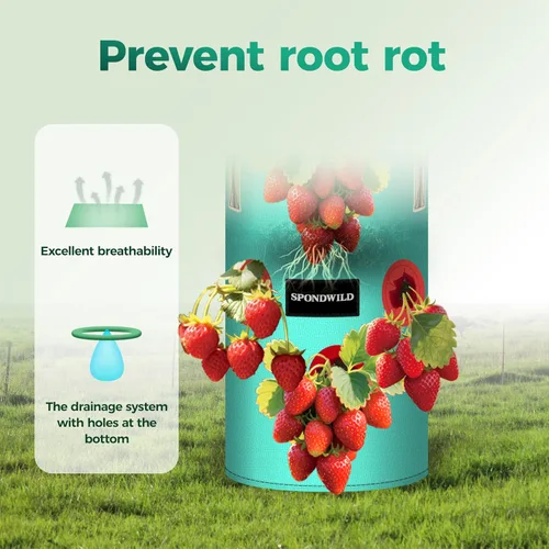 Vista 5 de Paquete de 3 bolsas colgantes de fresas, bolsas de cultivo colgantes de 1 galón con agujero de plantación inferior, maceta de fresa de polietileno
