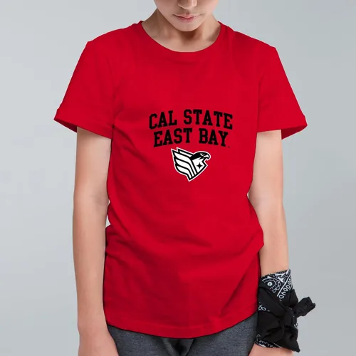 Vista 685 de NCAA Arch Logo, camiseta juvenil color del equipo, universidad - universidad