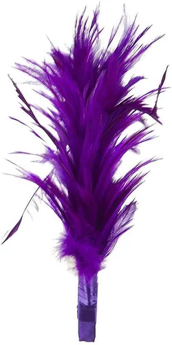 Vista 3 de Fancy plumas