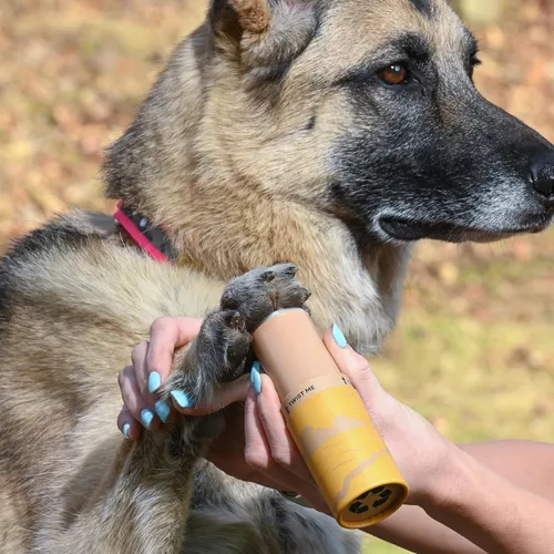 Vista 5 de Rhino Wax Kit de protección de patas de perro todo terreno: calle, playa Paquete - Las 4 ceras