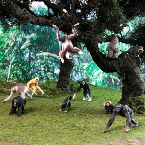 Vista 2 de Safari Ltd. Primates TOOB - Figuras de varios monos - Divertido juguete educativo para niños, niñas y niños a partir de 3 años