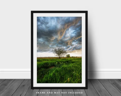 Vista 3 de Great Plains - Impresión fotográfica (sin marco), imagen vertical del árbol bajo el cielo tormentoso en el día de primavera en la pradera de Kansas