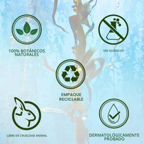 Vista 8 de Biotique Bio Kelp Protein Champú Para Cabello Caído, 6.4 fl oz