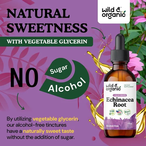 Vista 6 de Wild & Organic Tintura de equinácea - Suplementos de drenaje inmune y linfático - Gotas líquidas de hierbas de equinácea - Agregar al té - Extracto