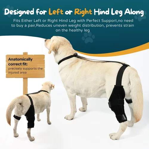 Vista 3 de Rodillera para perro ACL para perro, soporte para pierna trasera para perro ACL con collar adicional y soporte para tratar la artritis