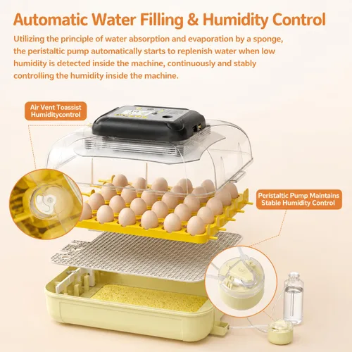 Vista 10 de Incubadoras de huevos para incubar 30 huevos con control de temperatura
