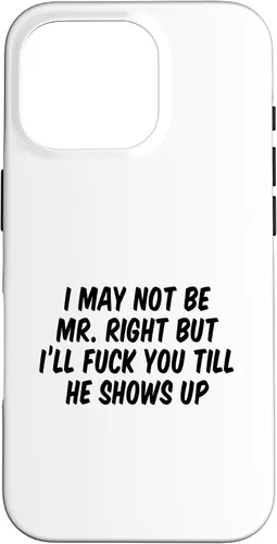 Vista 20 de I May Not Be Mr. Right But I’ll Fuck You Till He Shows Up Case for iPhone 17