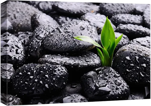 Vista 20 de Wall26 - Arte de pared estampado en lienzo con diseño de rocas negras en un lago tropical verde sereno, naturaleza floral, fotografía, realismo