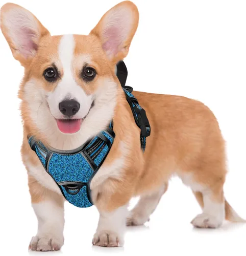 Vista 82 de BARKBAY Arnés para Perro Sin Tirones Talla Grande Arnés Reflectante para Perro con Clip Frontal y Asa de Control Fácil para Caminar Entrenar Correr