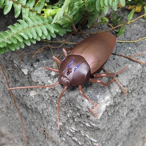 Vista 3 de Tipmant Coche de Control Remoto RC Cucaracha Vehículo Animal Juguetes Electrónicos Insecto Realista Insecto con Ojos Luminosos Mascota Gato Regalo
