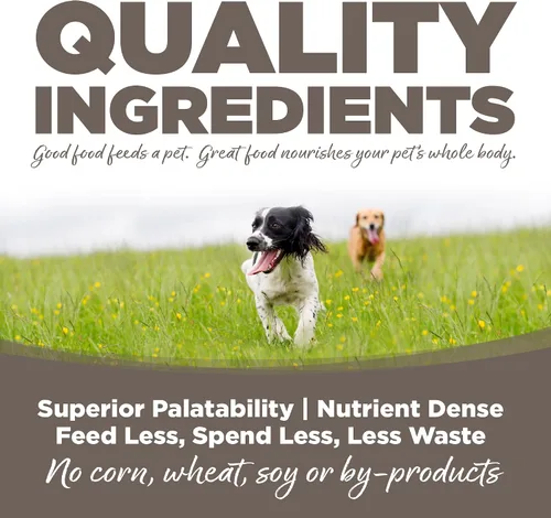 Vista 4 de NutriSource Alimento seco para perros mayores, pollo y arroz, 4 libras