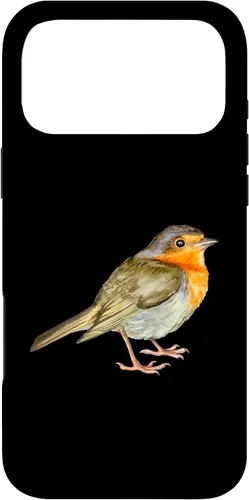 Vista 22 de Robin Bird Case for iPhone 17