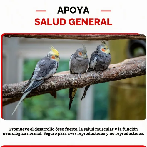 Vista 6 de Morning Bird Suplemento de calcio Plus para la salud aviar, fórmula líquida de calcio con magnesio y vitamina D3, 2 onzas líquidas