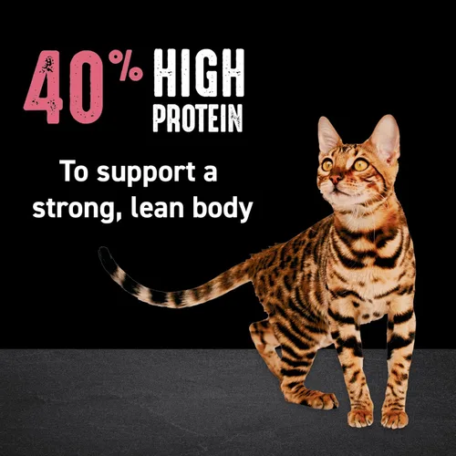 Vista 5 de Alimento seco para gatos CRAVE alto en proteína, sin cereales