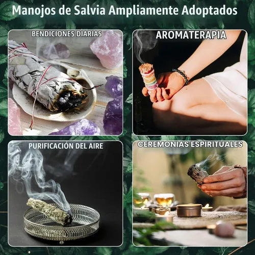 Vista 7 de Salvia Floral Ancientveda