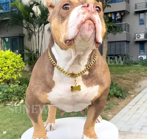 Vista 3 de SUNEW Collar para caminar con diseño de placa de identificación de perro con hebilla segura, collar de cadena de eslabones cubanos resistente a