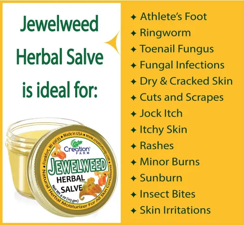 Vista 3 de Creation Farm Jewelweed Balm, remedio de hiedra venenosa, tratamiento de la piel del tarro de té de hierbas para la piel ayuda al tatuaje, alivia