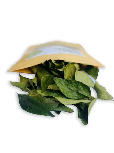 Vista 4 de Hojas de curry secas 0.4 Oz (11.34g) hojas enteras premium de aroma fresco Sabor aromático y distintivo con toda la frescura de Kari Patta, sin