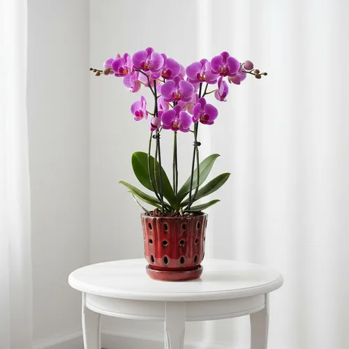 Vista 4 de Juego de 2 macetas de orquídea de cerámica de 4.9 pulgadas con Rojo
