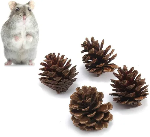 Vista 6 de ANDES Juguetes masticables de conejo, juguetes masticables de dientes de conejo para mascotas, juguetes orgánicos naturales de madera de manzana