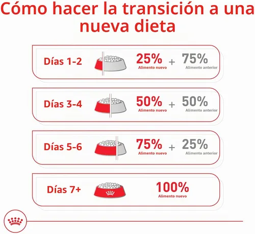 Vista 12 de Royal Canin Size Health Nutrition - Alimento seco para perros adultos