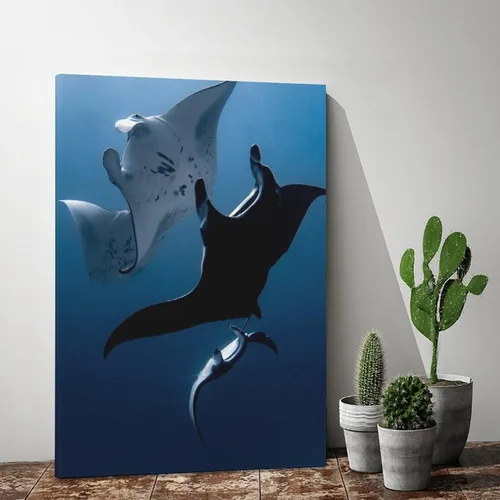 Vista 2 de Póster de lienzo con diseño de peces de animales de manta Rays, decoración de dormitorio, paisaje deportivo, oficina, habitación, regalo, póster