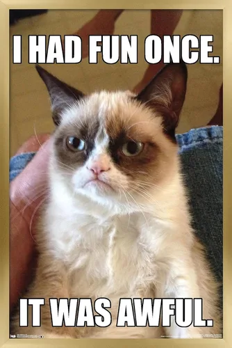 Vista 18 de Trends International Grumpy Cat - Póster de pared divertido, 22.375 x 34 pulgadas, versión enmarcada plateada Versión con marco plateado