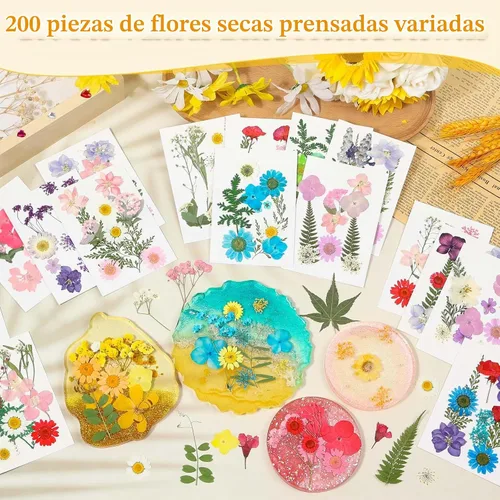 Vista 2 de Evatage - 200 flores secas prensadas pequeñas para manualidades de resina 200 piezas de flores prensadas