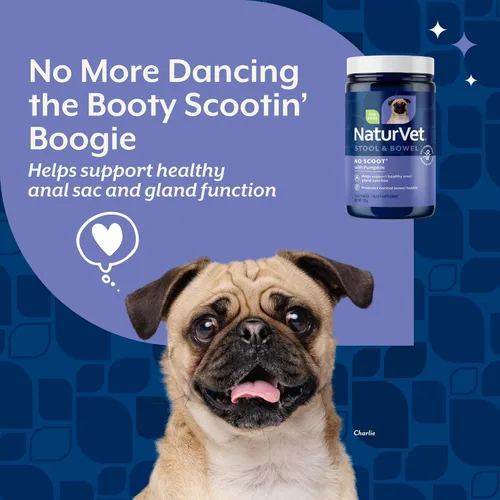 Vista 3 de NaturVet - No Scoot para perros - Plus calabaza - Apoya la salud de las glándulas anales y función intestinal - Mejorado con pulpa de remolacha