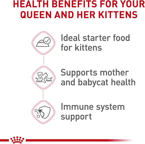 Vista 3 de Royal Canin Feline Health Nutrition Mother & Babycat Queen - Mousse en salsa ultra suave para gatos, 3 onzas (paquete de 6)