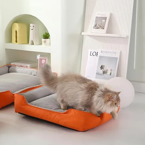 Vista 2 de 1pc Cute Two-Tone Cat's Paw Pattern Pet Bed – Removable & Washable Cat Dog Bed, Thickened Non-Slip 4-Season Mat, Wear-Resistant Pet Sleeping Pad