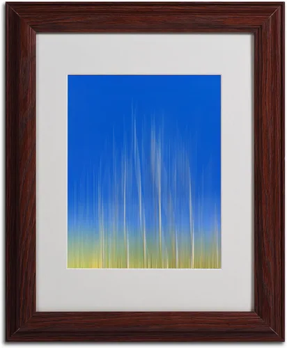 Vista 2 de Trademark Fine Art Philippe Sainte-Laudy - Lienzo de actividad vertical para pared, marco de madera, 11 x 14 pulgadas