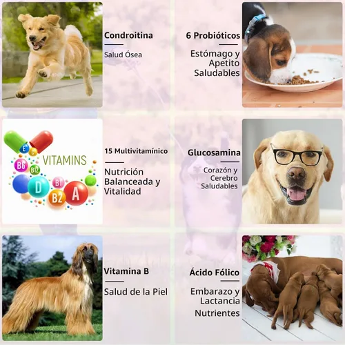 Vista 6 de Gotas multivitamínicas 15 en 1 para perros, gotas multivitamínicas líquidas