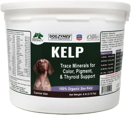 Vista 5 de Dogzymes Kelp noruego orgánico mejorado con ajo (12 onzas)
