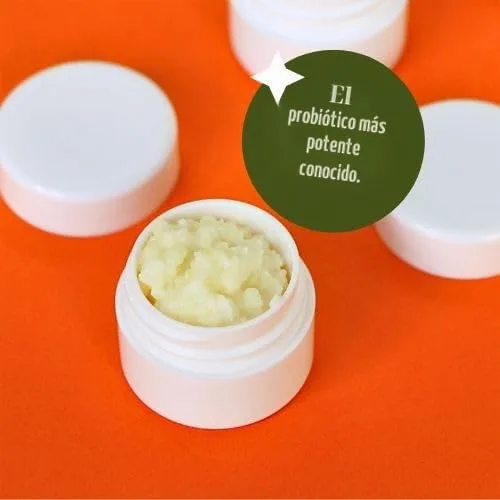 Vista 7 de Granos de kéfir de leche para hacer bebidas probióticas de kéfir