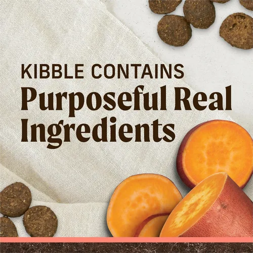 Vista 6 de Merrick Alimento seco para perros adultos sin cereales de primera calidad, saludable y natural, croquetas con salmón real y batata, bolsa de 4.0