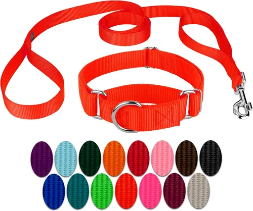 Vista 23 de Country Brook Design - Collar de perro de nailon Martingale y correa de doble asa-Negro-S